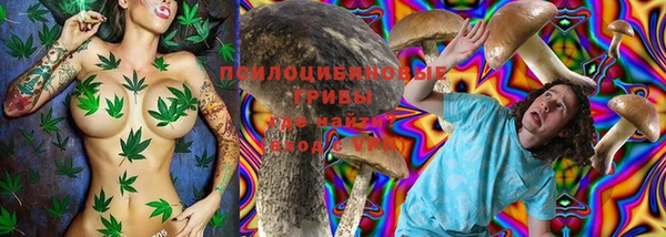 метадон Медвежьегорск