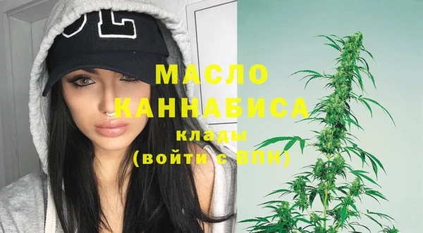 гашик Медногорск