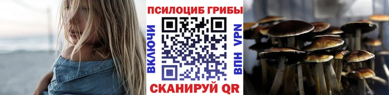 блэк спрут ТОР Южноуральск Галлюциногенные грибы ЛСД