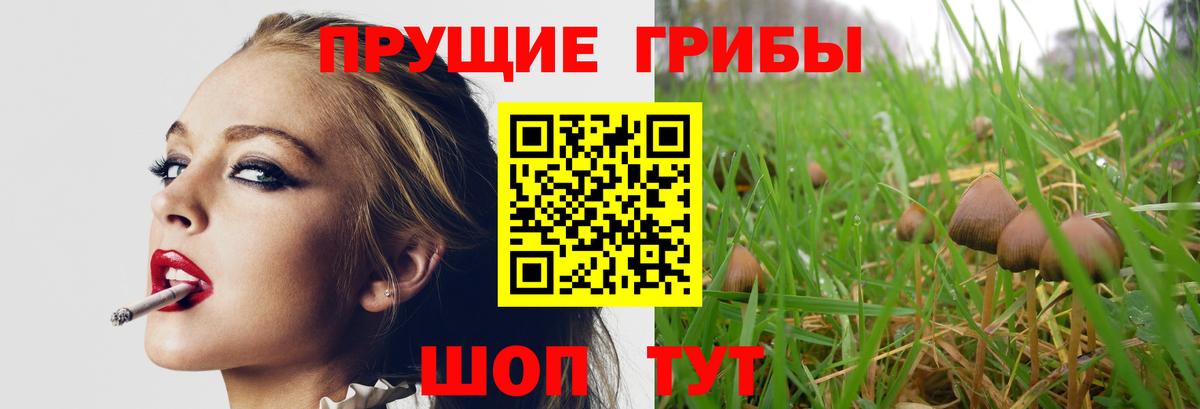 Галлюциногенные грибы MAGIC MUSHROOMS  наркошоп  Южноуральск  Вход с VPN  Псилоцибиновые грибы мухоморы 